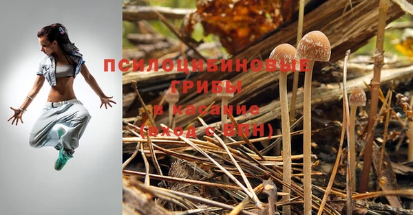 хмурый Михайловка