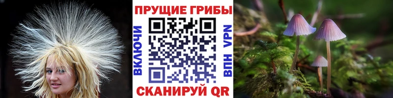 Купить Южно-Сухокумск Галлюциногенные грибы ЛСД